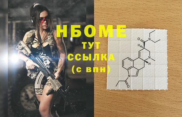 прущие грибы Куйбышев