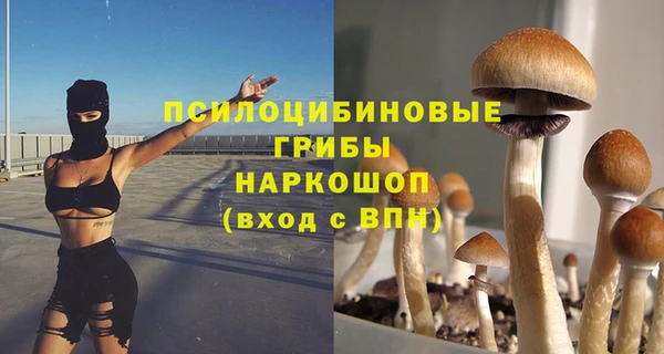 прущие грибы Куйбышев
