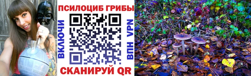Галлюциногенные грибы Psilocybine cubensis  Купить  Кольчугино 